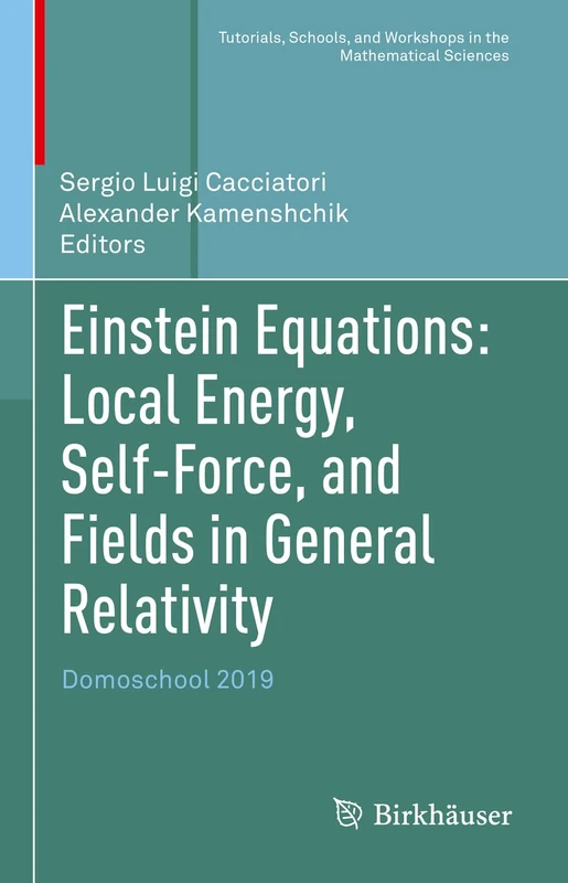 Einstein Equations: Local Energy, Self-Force, and Fields in General Relativity: Domoschool 2019 (Tutorials, Schools, and Workshops in the Mathematical Sciences)
