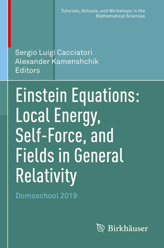 Einstein Equations: Local Energy, Self-Force, and Fields in General Relativity: Domoschool 2019 (Tutorials, Schools, and Workshops in the Mathematical Sciences)