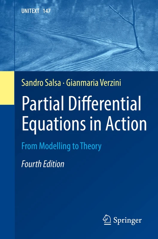Partial Differential Equations in Action: From Modelling to Theory: 147 (UNITEXT, 147)