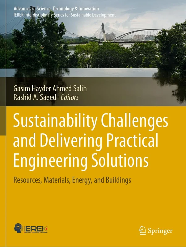 Sustainability Challenges and Delivering Practical Engineering Solutions: Resources, Materials, Energy, and Buildings (Advances in Science, Technology & Innovation)