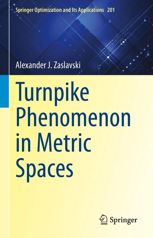 Turnpike Phenomenon in Metric Spaces: 201 (Springer Optimization and Its Applications, 201)