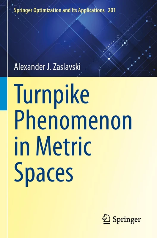 Turnpike Phenomenon in Metric Spaces: 201 (Springer Optimization and Its Applications, 201)