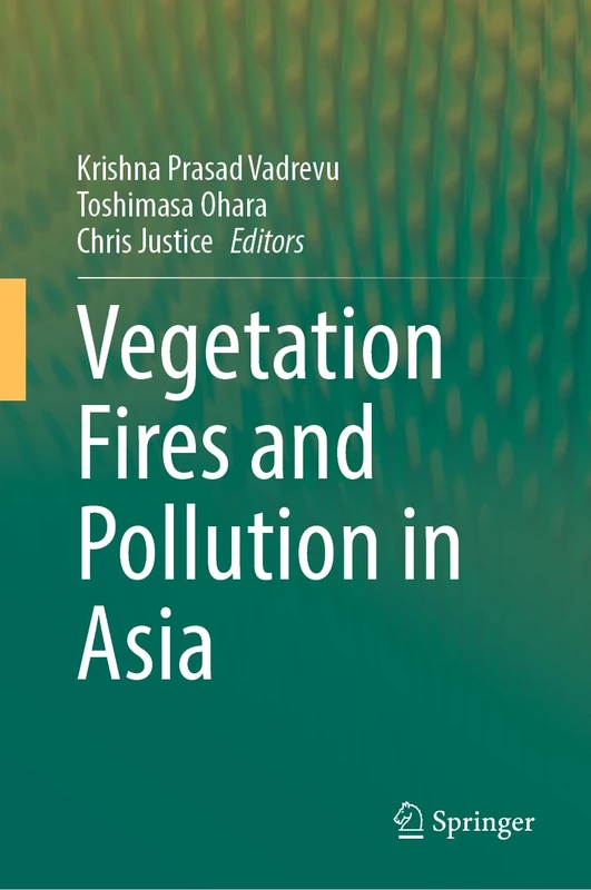 Springer - Vegetation Fires and Pollution in Asia (Book)