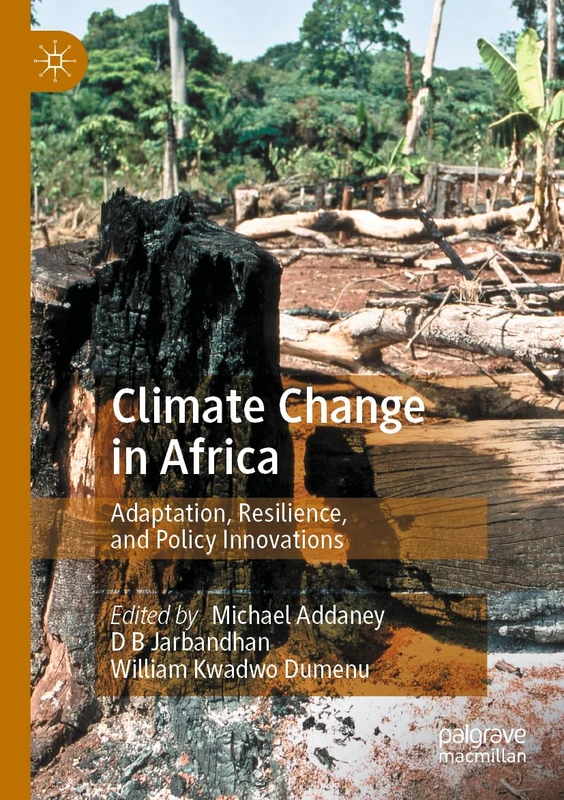 Climate Change in Africa: Adaptation, Resilience, and Policy Innovations