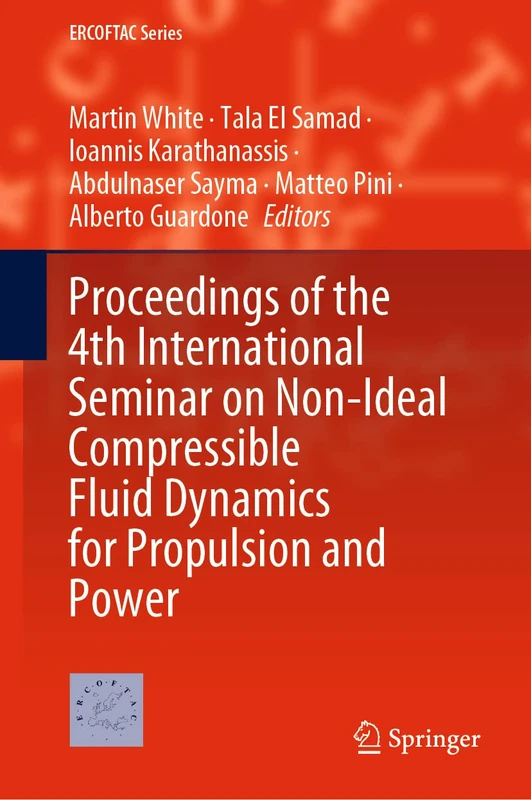 Springer - Non-Ideal Compressible Fluid Dynamics Proceedings 29