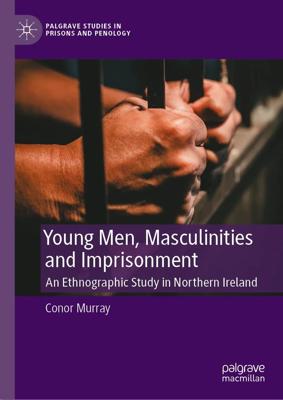 Young Men, Masculinities and Imprisonment: An Ethnographic Study in Northern Ireland (Palgrave Studies in Prisons and Penology)