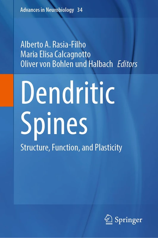 Dendritic Spines: Structure, Function, and Plasticity: 34 (Advances in Neurobiology, 34)