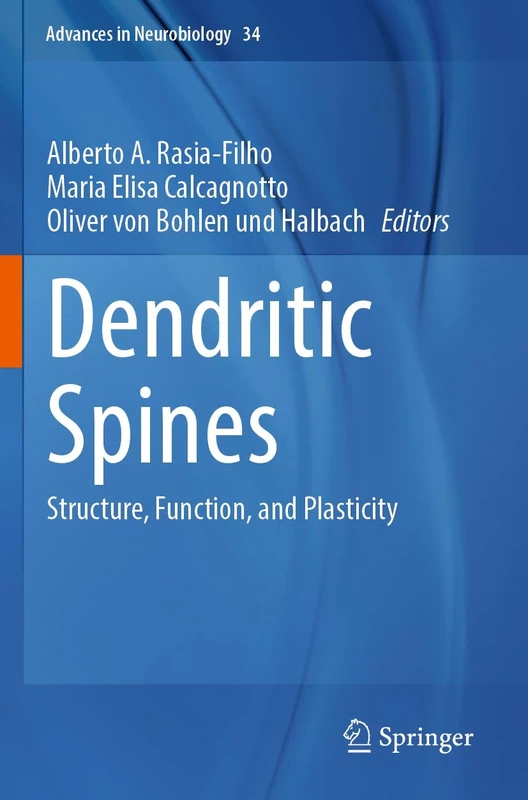 Dendritic Spines: Structure, Function, and Plasticity: 34 (Advances in Neurobiology, 34)