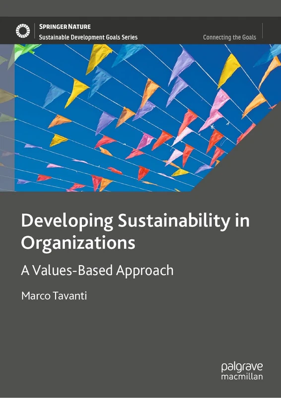 Developing Sustainability in Organizations: A Values-Based Approach (Sustainable Development Goals Series)