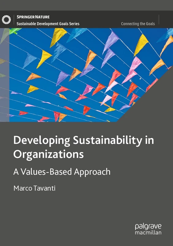 Developing Sustainability in Organizations: A Values-Based Approach (Sustainable Development Goals Series)