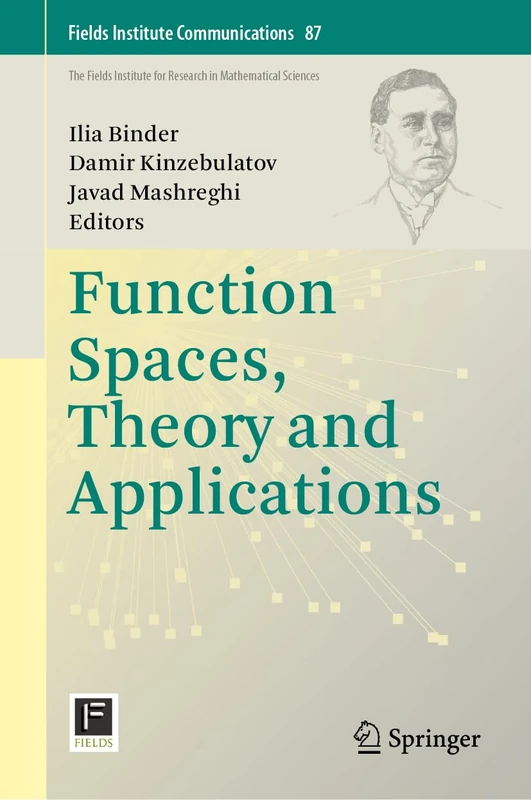 Function Spaces, Theory and Applications: 87 (Fields Institute Communications, 87)