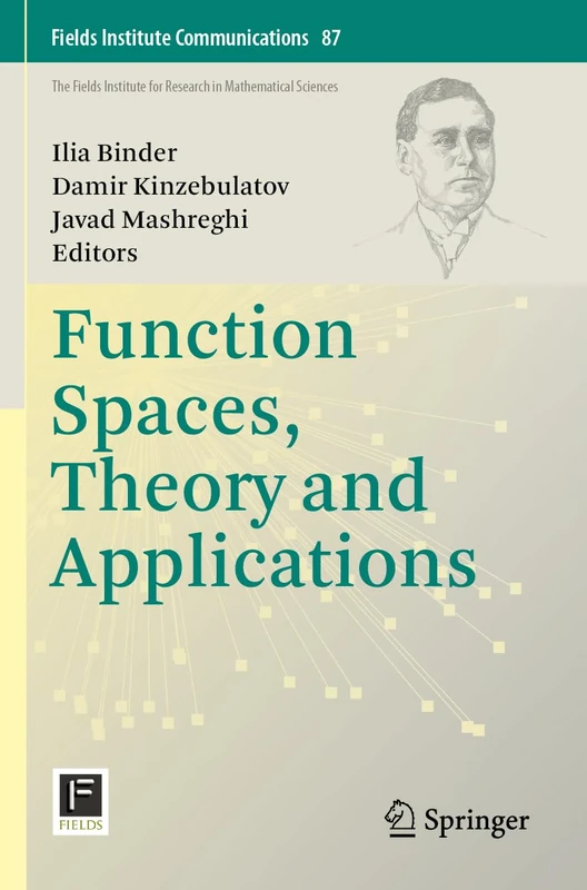 Function Spaces, Theory and Applications: 87 (Fields Institute Communications, 87)