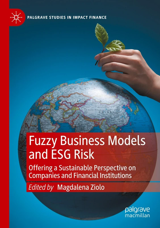 Fuzzy Business Models and ESG Risk: Offering a Sustainable Perspective on Companies and Financial Institutions (Palgrave Studies in Impact Finance)