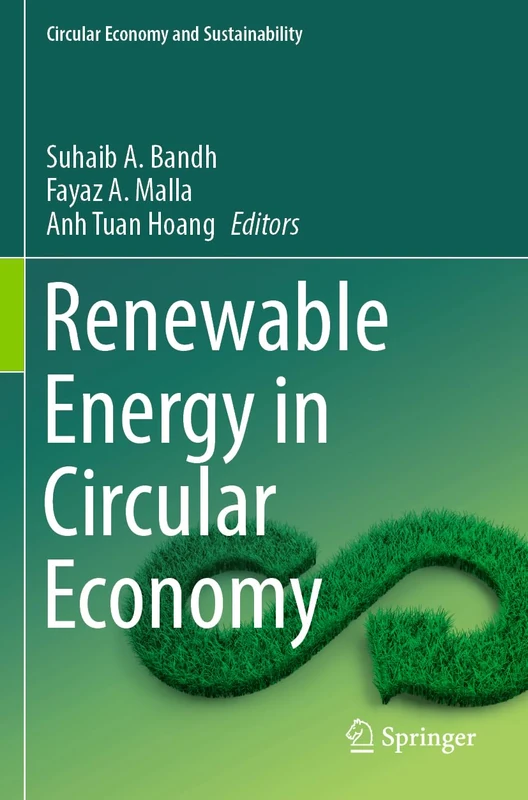 Renewable Energy in Circular Economy (Circular Economy and Sustainability)