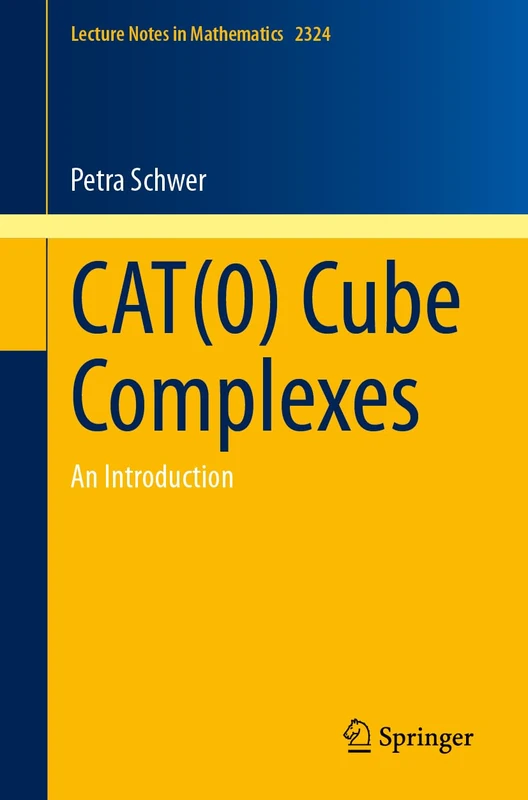 CAT(0) Cube Complexes: An Introduction: 2324 (Lecture Notes in Mathematics, 2324)
