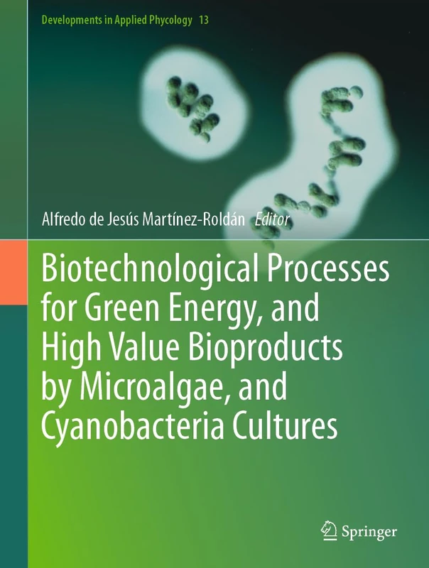 Springer Biotechnological Processes for Green Energy Book