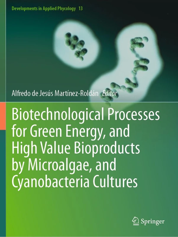 Springer - Biotechnological Processes for Green Energy Book