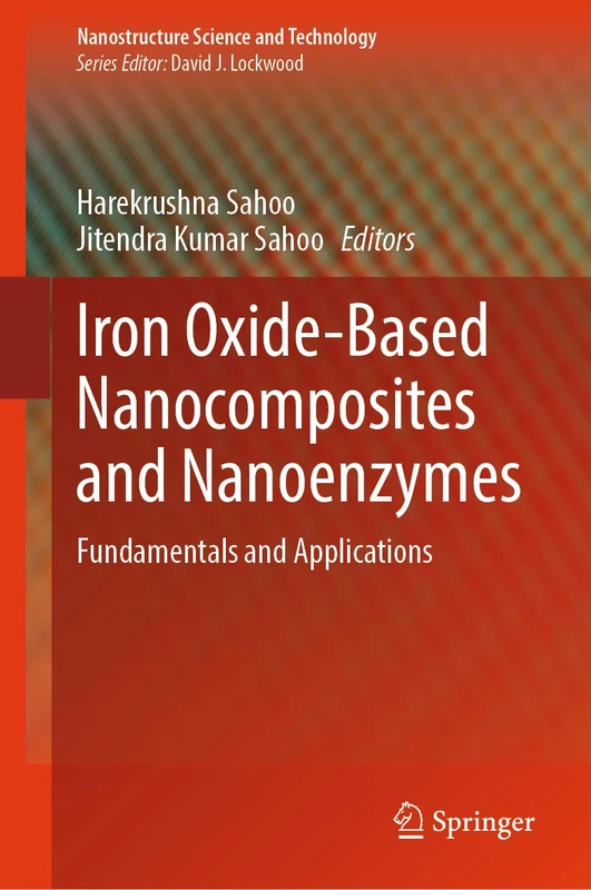 Iron Oxide-Based Nanocomposites and Nanoenzymes: Fundamentals and Applications (Nanostructure Science and Technology) - Image 1