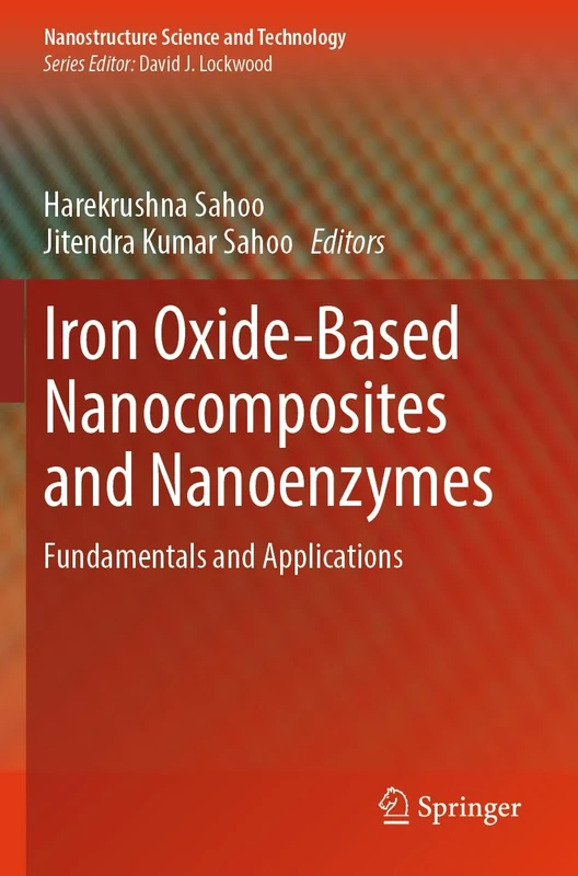 Iron Oxide-Based Nanocomposites and Nanoenzymes: Fundamentals and Applications (Nanostructure Science and Technology)