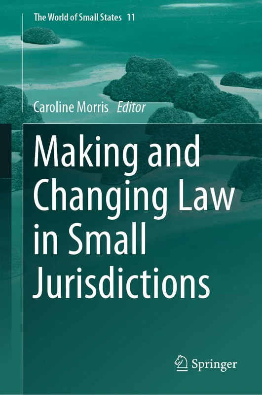 Making and Changing Law in Small Jurisdictions: 11 (The World of Small States, 11) - Image 1