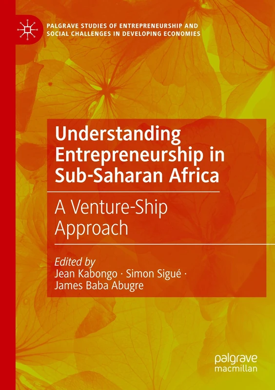 Understanding Entrepreneurship in Sub-Saharan Africa: A Venture-Ship Approach (Palgrave Studies of Entrepreneurship and Social Challenges in Developing Economies)