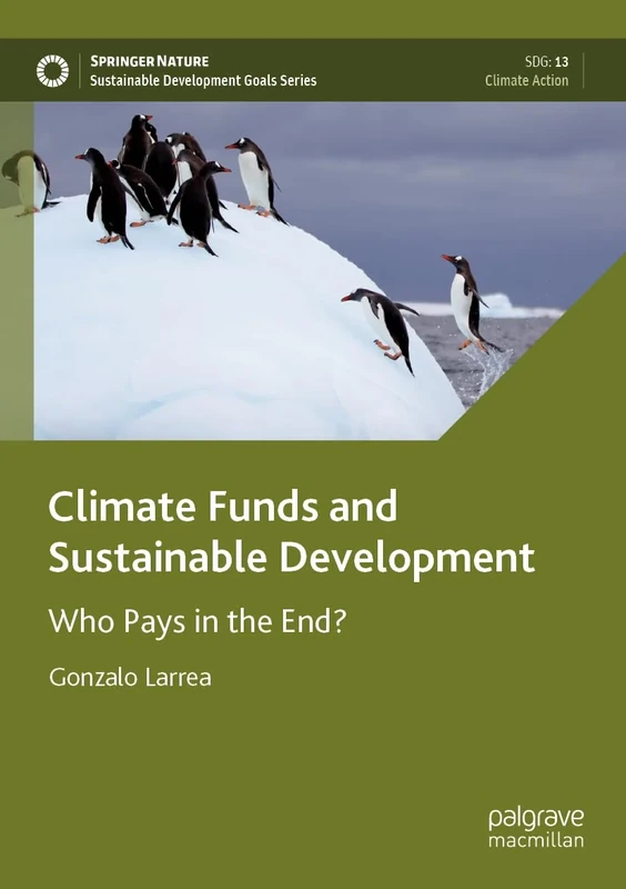 Climate Funds and Sustainable Development: Who Pays in the End? (Sustainable Development Goals Series)