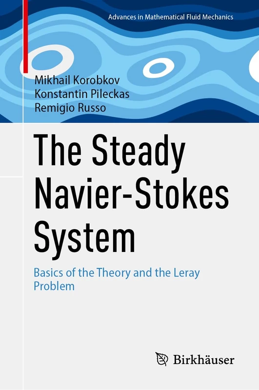 Birkhauser The Steady Navier-Stokes System - Math Book