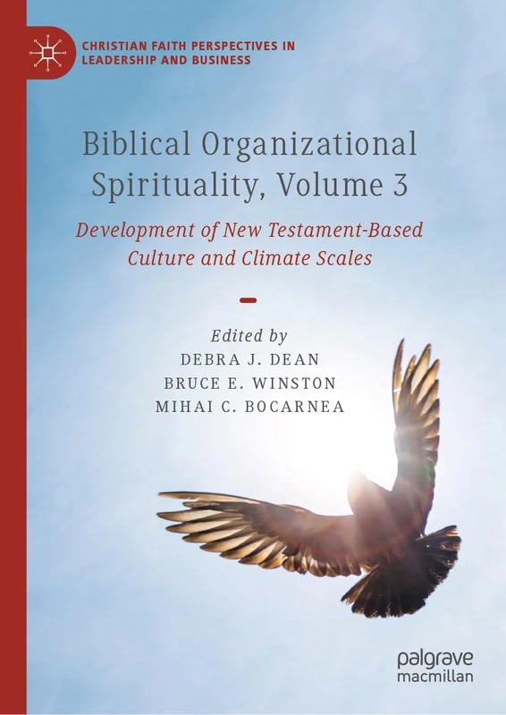 MACMILLAN Biblical Organizational Spirituality Vol 3 - Books