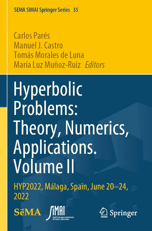 Springer Hyperbolic Problems Theory, Numerics, Applications