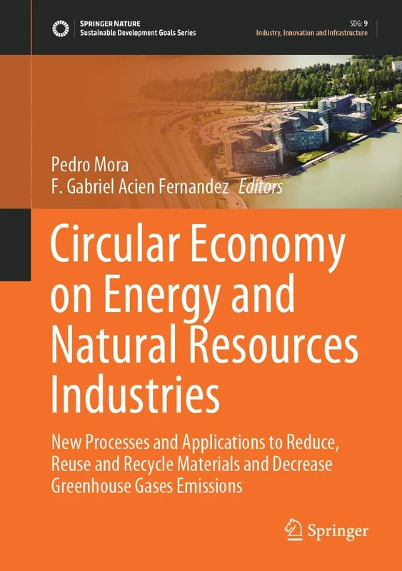 Circular Economy on Energy and Natural Resources Industries: New Processes and Applications to Reduce, Reuse and Recycle Materials and Decrease ... (Sustainable Development Goals Series)