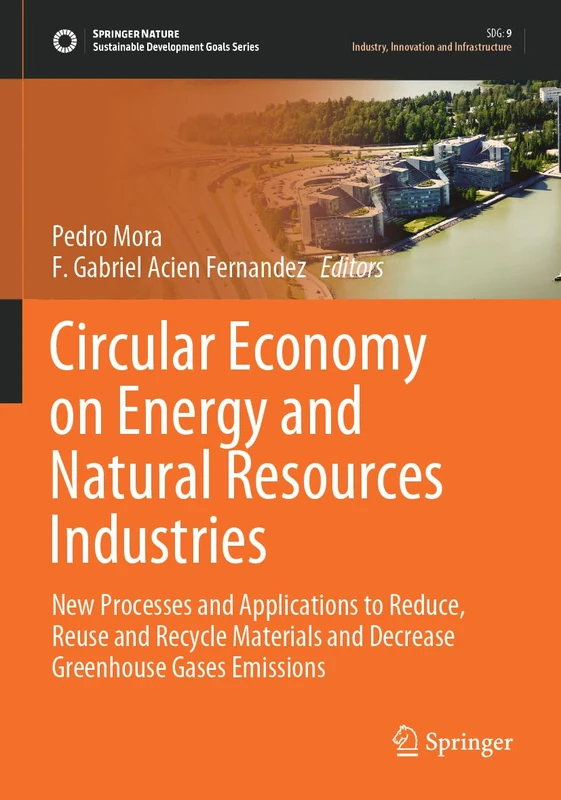 Circular Economy on Energy and Natural Resources Industries: New Processes and Applications to Reduce, Reuse and Recycle Materials and Decrease ... (Sustainable Development Goals Series)