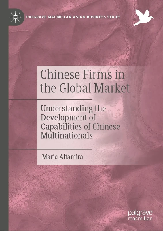 Chinese Firms in the Global Market: Understanding the Development of Capabilities of Chinese Multinationals (Palgrave Macmillan Asian Business Series)