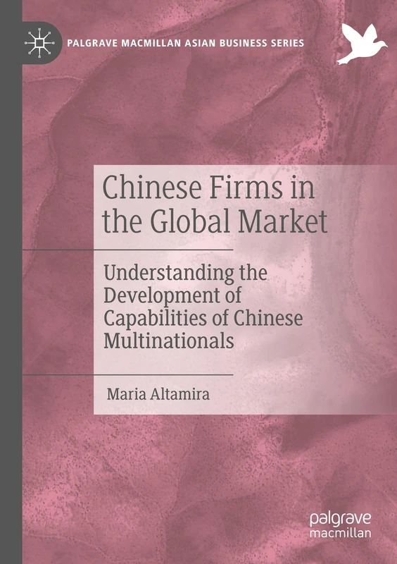 Chinese Firms in the Global Market: Understanding the Development of Capabilities of Chinese Multinationals (Palgrave Macmillan Asian Business Series)