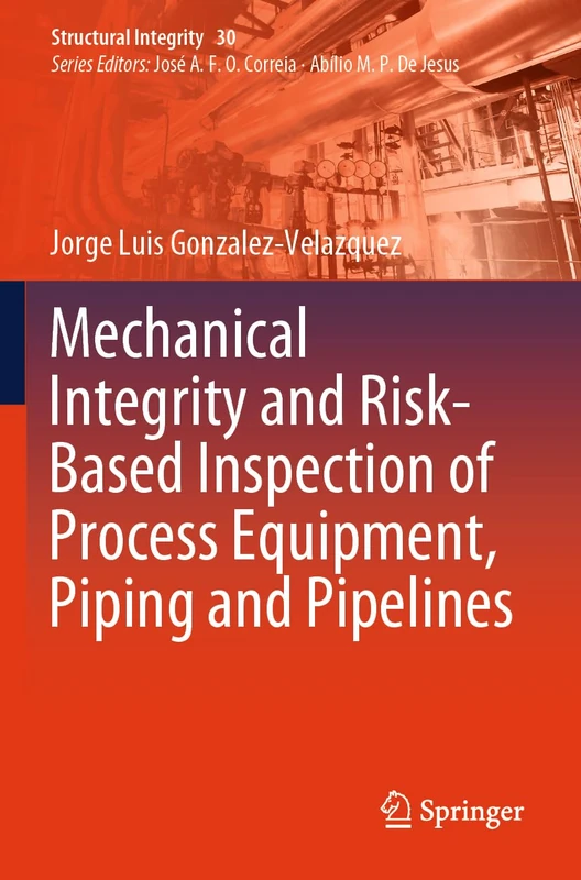 Springer Mechanical Integrity and Risk-Based Inspection Book