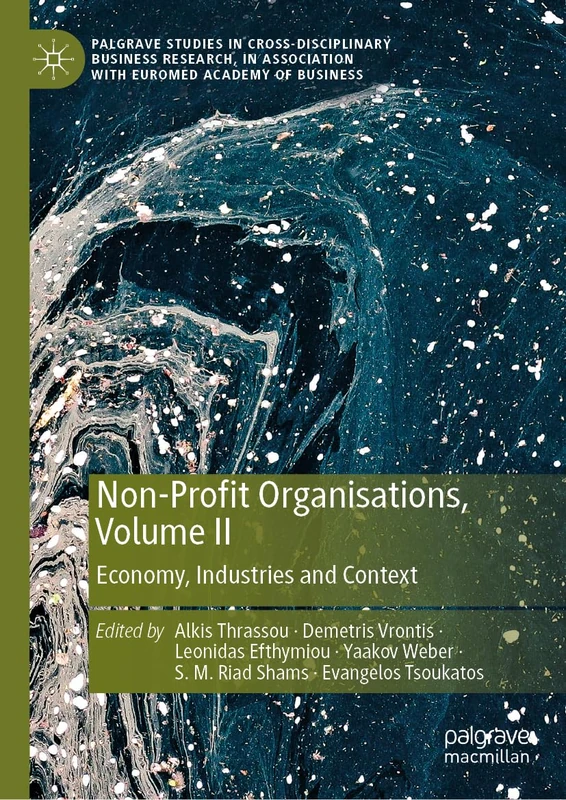 Non-Profit Organisations, Volume II: Economy, Industries and Context: 2 (Palgrave Studies in Cross-disciplinary Business Research, In Association with EuroMed Academy of Business)