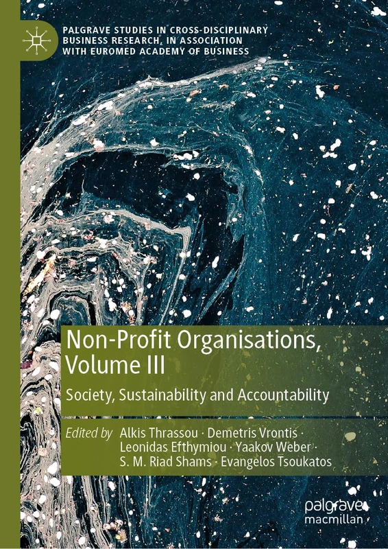 Non-Profit Organisations, Volume III: Society, Sustainability and Accountability: 3 (Palgrave Studies in Cross-disciplinary Business Research, In Association with EuroMed Academy of Business)