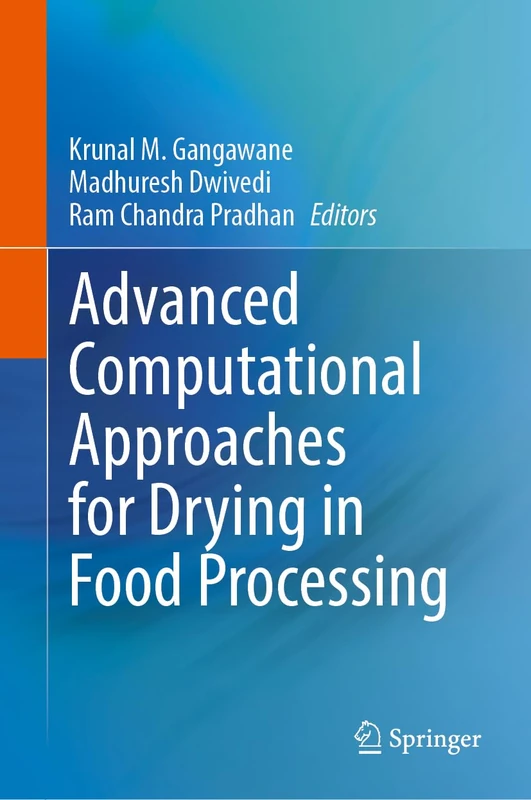 Advanced Computational Approaches for Drying in Food Processing