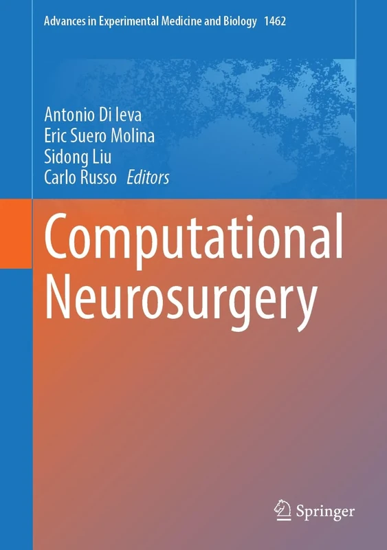 Computational Neurosurgery: 1462 (Advances in Experimental Medicine and Biology, 1462)