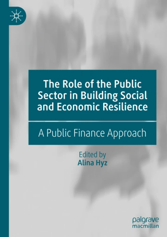 The Role of the Public Sector in Building Social and Economic Resilience: A Public Finance Approach