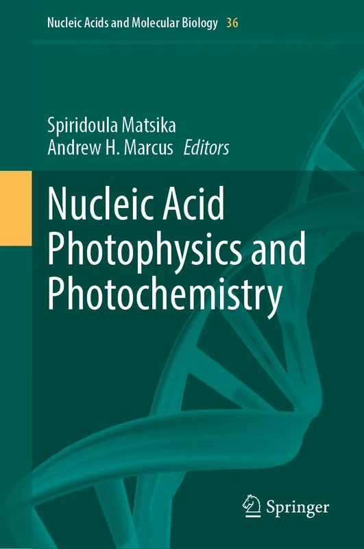 Nucleic Acid Photophysics and Photochemistry: 36 (Nucleic Acids and Molecular Biology, 36)