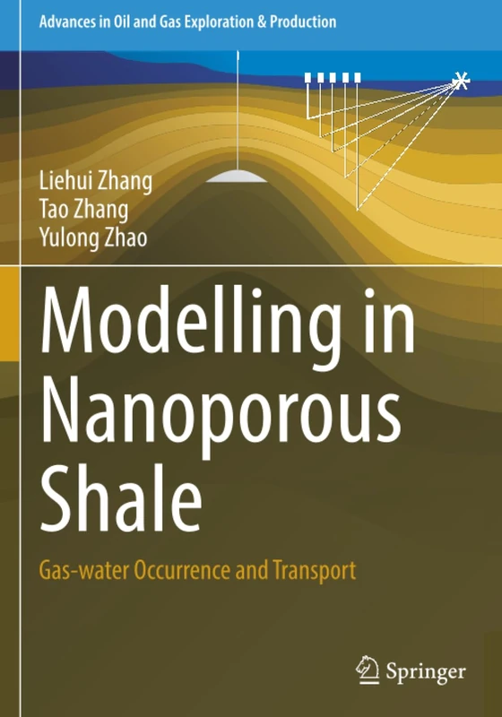Springer - Modelling in Nanoporous Shale Book