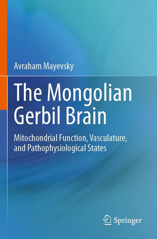 The Mongolian Gerbil Brain: Mitochondrial Function, Vasculature, and Pathophysiological States