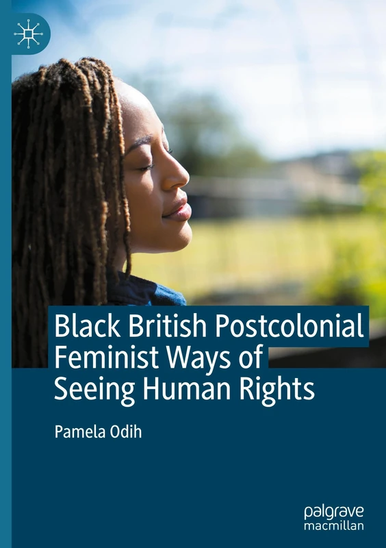 Black British Postcolonial Feminist Ways of Seeing Human Rights