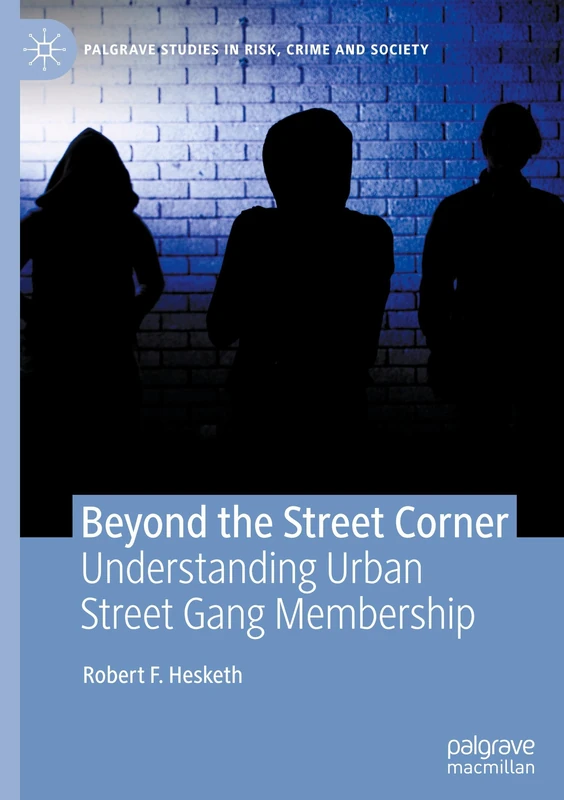 Beyond the Street Corner: Understanding Urban Street Gang Membership (Palgrave Studies in Risk, Crime and Society)