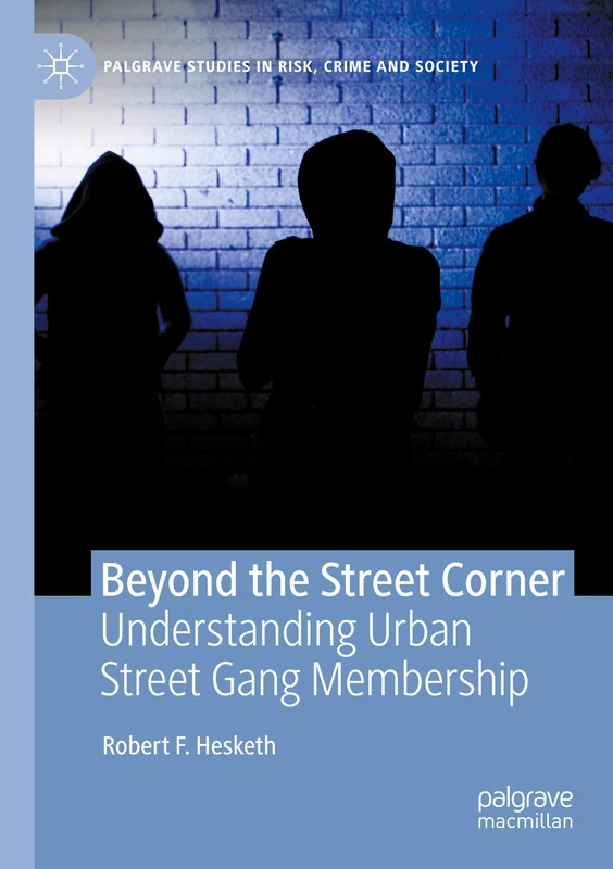 Beyond the Street Corner: Understanding Urban Street Gang Membership (Palgrave Studies in Risk, Crime and Society)
