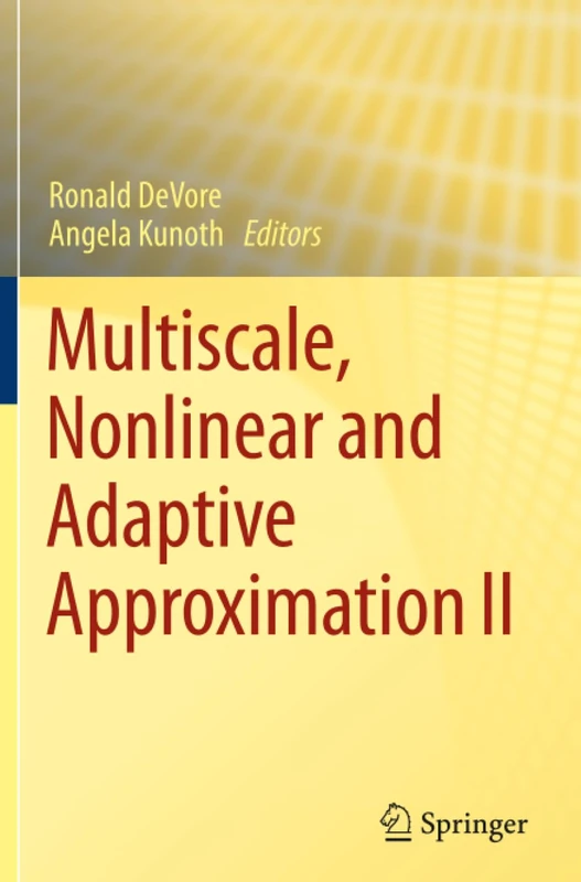 Multiscale, Nonlinear and Adaptive Approximation II