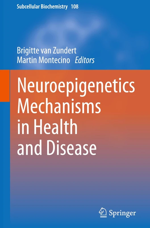 Neuroepigenetics Mechanisms in Health and Disease: 108 (Subcellular Biochemistry, 108)