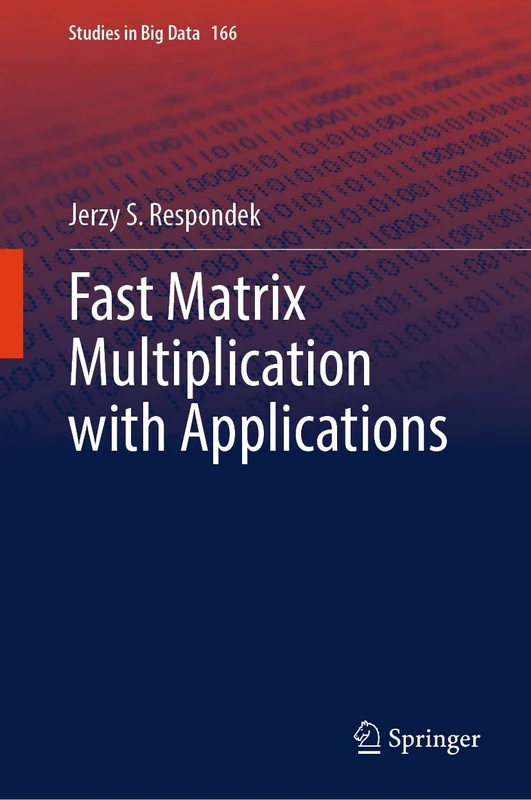 Fast Matrix Multiplication with Applications: 166 (Studies in Big Data, 166) - Image 1