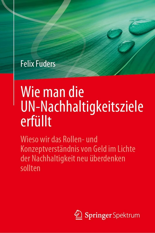 Wie man die UN-Nachhaltigkeitsziele erfüllt: Wieso wir das Rollen- und Konzeptverständnis von Geld im Lichte der Nachhaltigkeit neu überdenken sollten