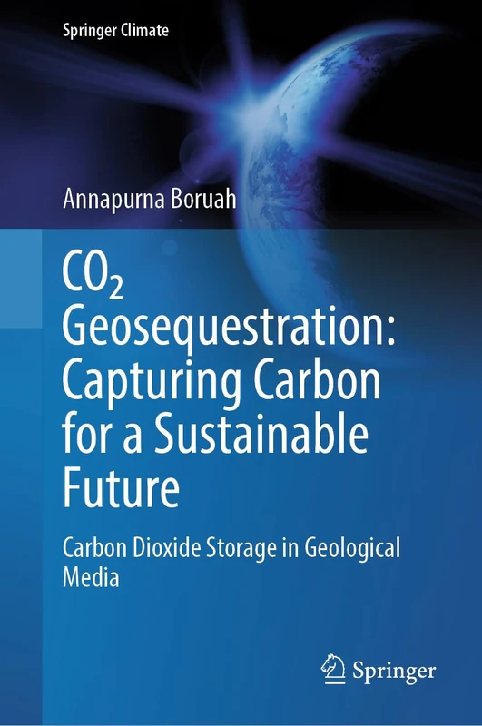 CO₂ Geosequestration: Capturing Carbon for a Sustainable Future: Carbon Dioxide Storage in Geological Media (Springer Climate)